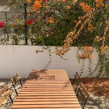 Apartamento Moradia Mini *